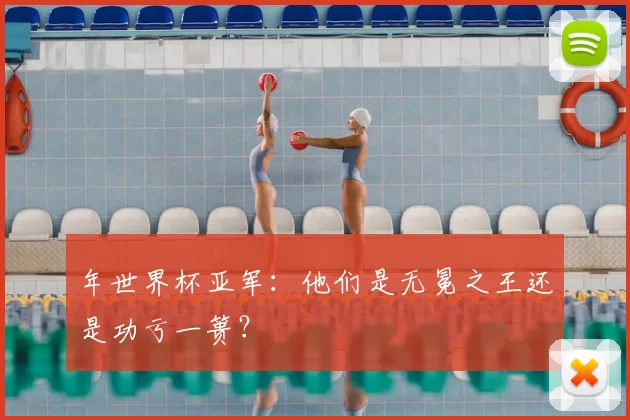 年世界杯亚军:他们是无冕之王还是功亏一篑?
