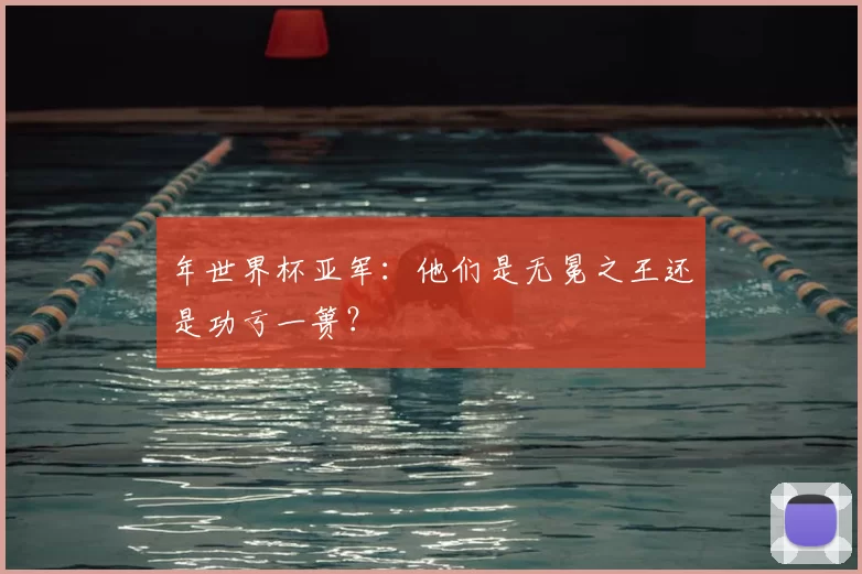 年世界杯亚军:他们是无冕之王还是功亏一篑?