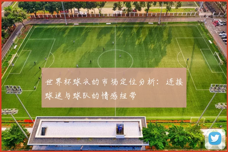 世界杯球衣的市场定位分析：连接球迷与球队的情感纽带