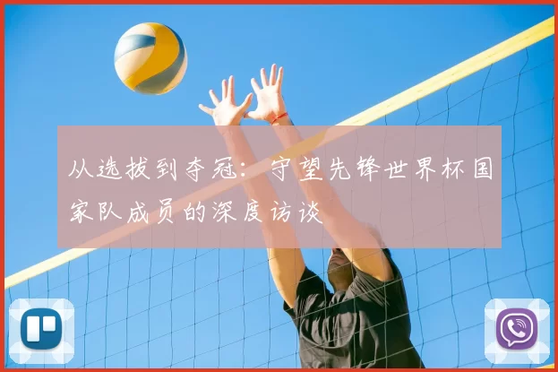 从选拔到夺冠：守望先锋世界杯国家队成员的深度访谈
