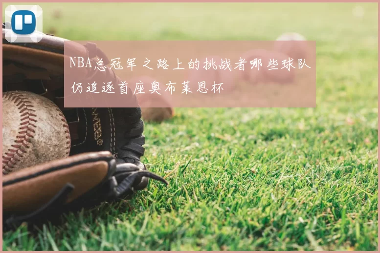 NBA总冠军之路上的挑战者哪些球队仍追逐首座奥布莱恩杯