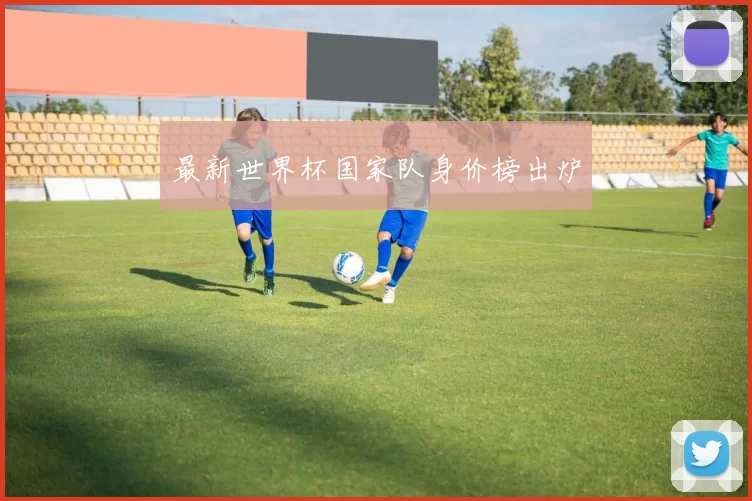 最新世界杯国家队身价榜出炉