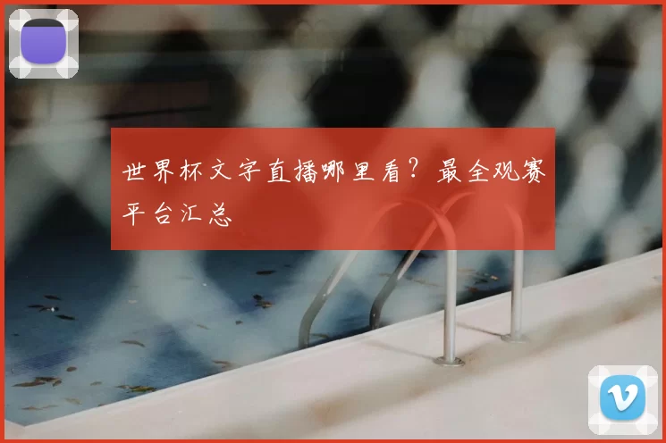 世界杯文字直播哪里看？最全观赛平台汇总