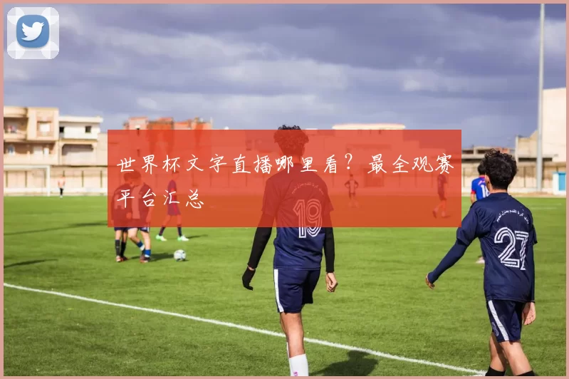 世界杯文字直播哪里看?最全观赛平台汇总