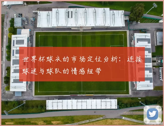 世界杯球衣的市场定位分析:连接球迷与球队的情感纽带