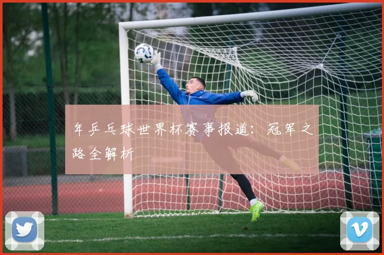 年乒乓球世界杯赛事报道：冠军之路全解析