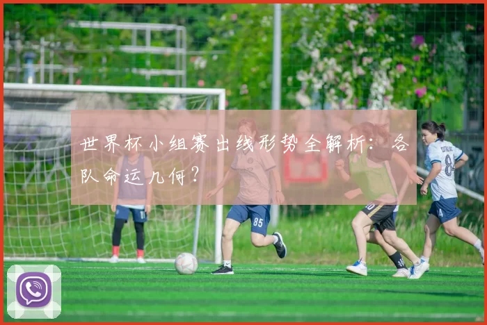 世界杯小组赛出线形势全解析：各队命运几何？