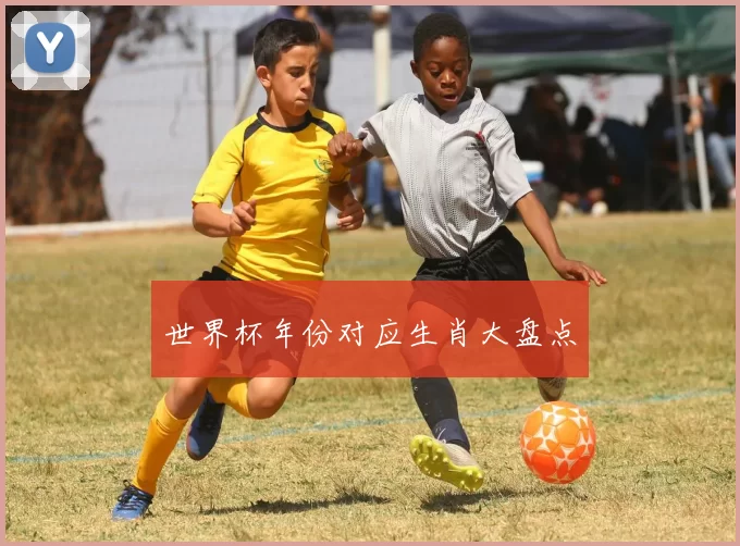 世界杯年份对应生肖大盘点