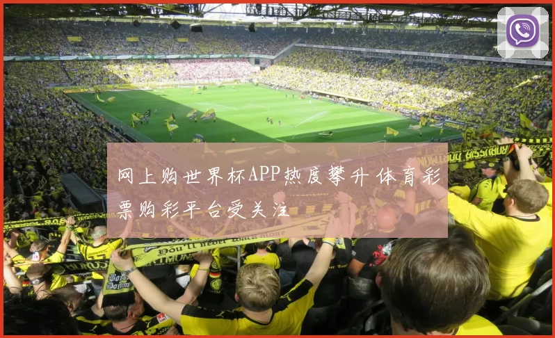网上购世界杯APP热度攀升 体育彩票购彩平台受关注