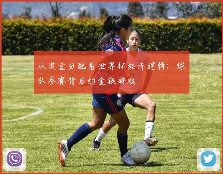 从奖金分配看世界杯经济逻辑:球队参赛背后的金钱游戏
