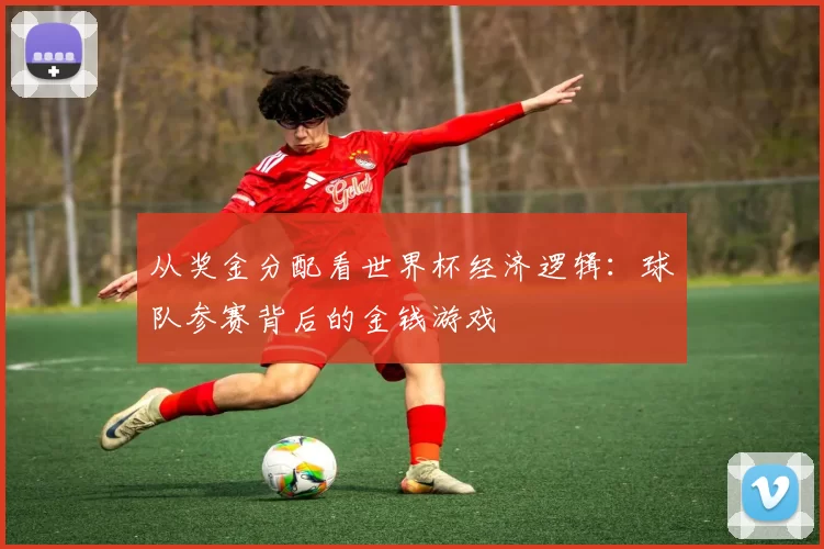 从奖金分配看世界杯经济逻辑:球队参赛背后的金钱游戏