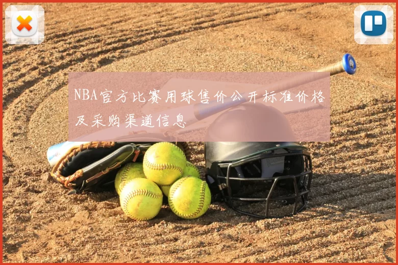 NBA官方比赛用球售价公开标准价格及采购渠道信息